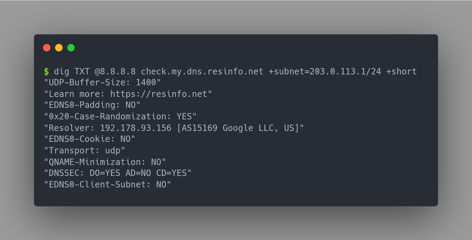 Query response to check.my.dns.resinfo.net